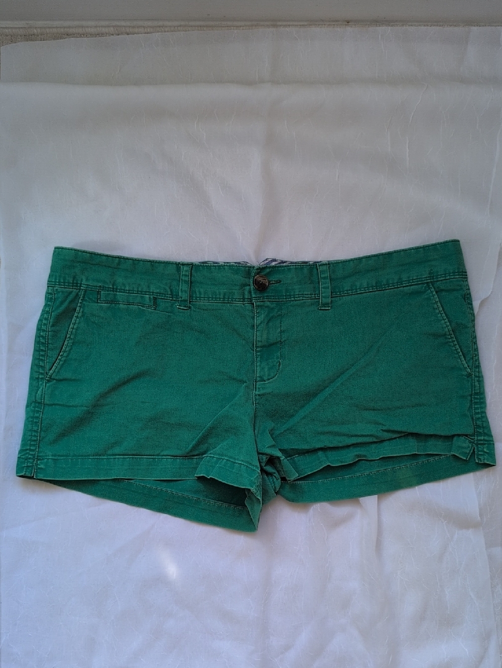 American Eagle Outfitters Green Shorts